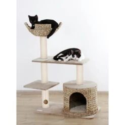 Kerbl Kratzbaum Banana Leaf Jade -Ruffwear Verkäufe 76da0e2291b796ed5e6d437459db13ca9d50faaa 9bb330ca7b7ab6e046ff929a6710ba8bd89b78aa