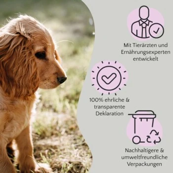 FAVLY Petfood FAVLY Probierpaket "Snack It" 6 FAVLY Petfood FAVLY Probierpaket "Snack It" – Bild 6