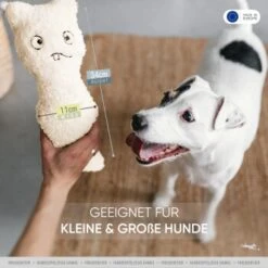 Freudentier Nachhaltiges Hundespielzeug Daniel 8 Freudentier Nachhaltiges Hundespielzeug Daniel -Ruffwear Verkäufe 76f8956cafde740a15233069d3a2be49cf2284e6 1408970 de DE 736dc37d356485eb4dbefdb8afa00d5469896273y5qjhW