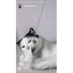 Kater Kasimir Premium Katzenangel Mit 4 Handgemachten Anhängern Aus Naturmaterial -Ruffwear Verkäufe 770b4a4773ed49d435287f5ac0f03f94a117604e 1408150 de DE d77919138410a09ab67416f25ec15e6664e9d2ac4JZFQJ