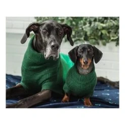 GF Pet Trail Pullover Forest Grün XXXS -Ruffwear Verkäufe 779f298087cae5c721d39d0e409ff830d9702e07 51764b41ec1e519efc4e7ae3561161e25d618dc0