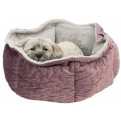 Trixie Bett Estelle Samt-Optik ø 50 Cm Beere/ Grau -Ruffwear Verkäufe 77bb4f5cd7384a9905de3a40eb3a823ce700b54b 1378629 de DE Trixie 6