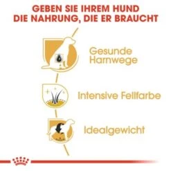 ROYAL CANIN Zwergschnauzer Adult 3kg -Ruffwear Verkäufe 77e331cd9fcae9ed7be9f7a8c30418a1469100cb 1e18f973f74ec6522c9cbb67634ea47bb6587bea