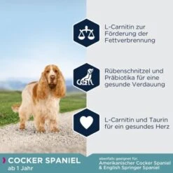 EUKANUBA Breed Specific Cocker Spaniel 7,5kg -Ruffwear Verkäufe 789de7a0283f46da6e4749fa099ea83b92fb80f2 afb40c73f9aec76d202ff175bd4233f0448685b1