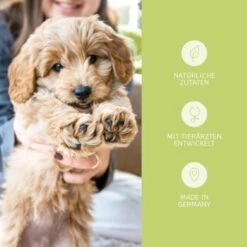 Mammaly Puppy Power 110g -Ruffwear Verkäufe 78b89929cc0ab73d25bf14f8c5e7aa742f5ed445 1472892 6