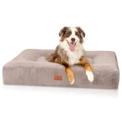 Knuffelwuff Orthopädisches Hundebett Mit Kuschelig Weichem Kaninchen Fellimitat Midland Beige/ Grau M-L -Ruffwear Verkäufe 79531db3c06c2e84298f756d392dabc78bff0eb3 1412260 de DE 41afb63f6fe742bd03c3792bee5d6527f99af078m2GGKe