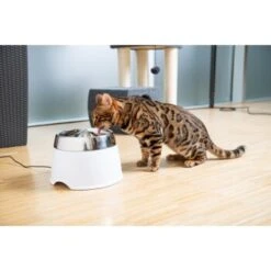 AniOne Edelstahl-Trinkbrunnen Trevi Ohne Ersatzfilter 5 AniOne Edelstahl-Trinkbrunnen Trevi Ohne Ersatzfilter -Ruffwear Verkäufe 7a066af048695bbfaeca0a855e5984fc3bf99d03 689fcf415d486ac05c07f2a4868b1d087d7a9ece