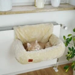 Schlitzohr Heizungsliege Lucky Beige -Ruffwear Verkäufe 7bab29708c56b6f70695735987b821094f74efb9 1484673 de DE 775053056e82816b2424b888f536a523a0880ea7ZfMupV