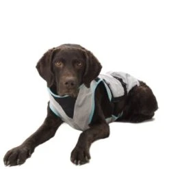 Trovet Suitical Kühlweste Dry Cool M 8 Trovet Suitical Kühlweste Dry Cool M -Ruffwear Verkäufe 7c6cb463b1c403c67dd5b0537c226320cd47afee 1321386 de DE Trovet suitical 5 Kopie
