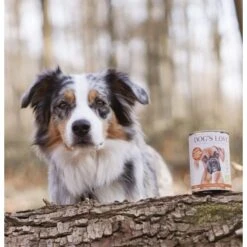 DOG'S LOVE BIO 6x400g Pute Mit Amaranth & Kürbis -Ruffwear Verkäufe 7cfb335242819e2022e06cd6adfa2d944e3f1da6 1274540 1