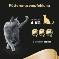 Sheba Delikatesse In Gelee 22x85g Huhn -Ruffwear Verkäufe 7d0c61cee00487eaa7204e4ee0e0cb29425d4a1a 53fe67de08e8358e9fe1bb0859111ef670e81b29