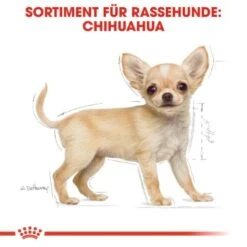 ROYAL CANIN Chihuahua Puppy 1,5 Kg -Ruffwear Verkäufe 7dd2fdf31fbafe12844b77541531374b85a5dbbf 5c9b8e420f544ce443bc0dcd34b99a937a14a2be