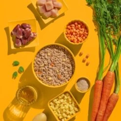 Fred & Felia FELIA 10x200g Huhn 7 Fred & Felia FELIA 10x200g Huhn -Ruffwear Verkäufe 7e93c87f3bf5a7c166224c4e2c11e0bf359859f3 1422055 de DE 62374aa99ffbad947366c1bb2c8fe35cf502571cJBPclz