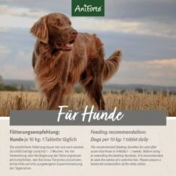 Aniforte Plus Magen & Darm 90 Tabletten -Ruffwear Verkäufe 7f8f2a9e3dfb6b1b6bfc2c46c90c19d71a287a4e 1455900 de DE 2a5fad406f9271ee48566f61f7a7426e7429e69egnnmrI