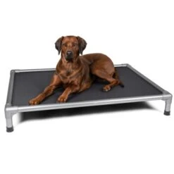 TrendPet HighBed Hochbett Für Hunde Grau M -Ruffwear Verkäufe 806c9151a30c8768dca1db3b613750e05f9a4162 1398000 de DE eccf46af10cedb35cd08bd74c647de0fa5efa511wPNHSV