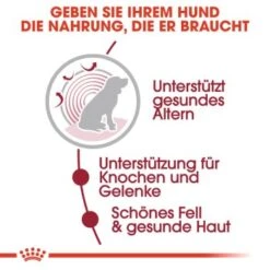 ROYAL CANIN Medium Ageing 10+ 10x140g -Ruffwear Verkäufe 81bda48a71abccae72ce5cbcbb05544973ab46f8 fbf75e1686fe1251afcecaefa9adc99c4a2b252a