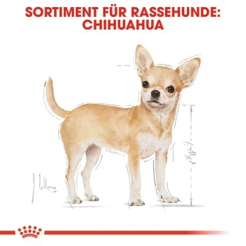 ROYAL CANIN Chihuahua Adult 1,5 Kg 6 ROYAL CANIN Chihuahua Adult 1,5 Kg – Bild 6