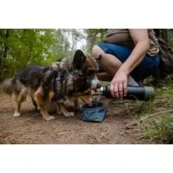 Ruffwear Great Basin™ Napf Schieferblau S -Ruffwear Verkäufe 824b44ccf17c67c3dd43e5523941633c95efed85 1651551 de DE fad827ec7223895423979e3215d64ffaeae47c26HGRUuZ