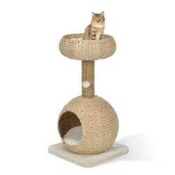 AniOne Kratzbaum Anzo -Ruffwear Verkäufe 8251ae4516bf903fd0d3f9c45aa1bbabf8946a79 e7ecb07cf2644d3862a8042d79dc2f0a59c03802