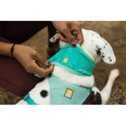 Ruffwear Swamp Cooler™ Kühlendes Halstuch Blau/ Türkis XXS -Ruffwear Verkäufe 84380b323534f706adb064c5f59bfe1f6f8adfcb 1639914 de DE 09b76313830836f68f333eee06c0a6bd83fbeec4Hirkw3