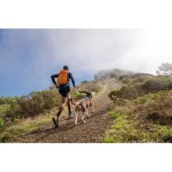 Ruffwear Hi & Light™ Geschirr Blau XXXS -Ruffwear Verkäufe 84fb3768d76aaadc77eacf0db0051f1af74c62df 1453085 de DE 781043d5a0c42f3d294eead840f1254891671d23roVLy1