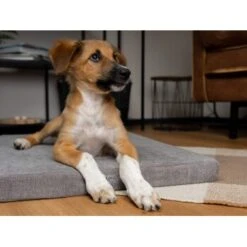 TrendPet VitaMedog 95° Orthopädische Matratze Braun XS -Ruffwear Verkäufe 8593ab33aaee7b7db5c067ae575cd2587eb58a46 1313491 de DE ed4b5eda7bf93be784ebea4f6c775dbba153c634bQuZDK