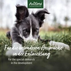 Aniforte Junior Active 250 G -Ruffwear Verkäufe 85f14959766b1456ddfebecc96c0620d66b937f8 1422210 de DE 2b250799eeaa3b0c7abfb8ddb6b25faa05fec06cbuKE8w