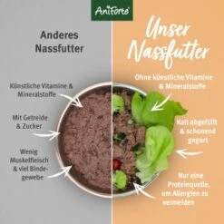 Aniforte GreenfieldTurkey Pute Mit Quinoa 2,4 Kg -Ruffwear Verkäufe 87fa8abed10a2dd56385d42b5e4495a316e5e475 1422188 de DE fcf542fb4d42b977b010bc0c68872ccabafd165c8P5Yor