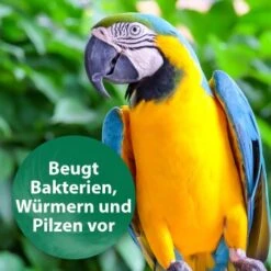Quiko Med V Liquid 100 Ml: Mit Hochwertigem Oregano-Öl Für Ziervögel -Ruffwear Verkäufe 88a4d869da906e8aaa1074413d2b5765c37fe51c 1387820 de DE 18f5cb5cc5b0a1074c44f20b530fefedca292a50auwynr