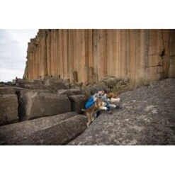 Ruffwear Grip Trex™ Hundeschuhe -Ruffwear Verkäufe 8a04129089dd0c034c3440ca2f5a059543497a42 1363993 de DE 62eaf59e4c30b32a0494684f66bc46a3e77f909dJ6uyPm