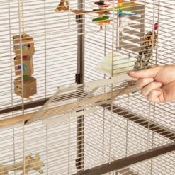 Montana Cages Voliere Paradiso 90 Schoko 12 Montana Cages Voliere Paradiso 90 Schoko -Ruffwear Verkäufe 8a51e1e8340559f25f4320aa285908e55a235d2f 1200892 de DE 0576ffe209ea05253ebe1a6e08466fe13ae3f4a3jFC7T8