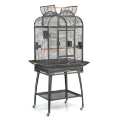 Montana Cages Voliere Havana Dunkelgrau -Ruffwear Verkäufe 8c5dda96dcd1ea5fa941a34eb267552d97b45cb0 1070399 de DE cb0ae5e208fd4e2582ee831e9287d89255e31f8050vrNy