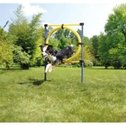 AniOne Agility Set 16 AniOne Agility Set -Ruffwear Verkäufe 8dd2c346cfba9b57b3f14270694b3f975d0558fa 8ae19109d8863c833405d8d5b2e72b4315e858f5