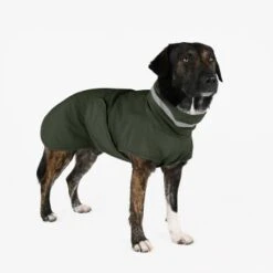THE DOG IDEA Regenmantel Kayden Dunkelgrün XXXS -Ruffwear Verkäufe 8e1edff2e1ce2cd20f42f4cd20424a52daa78ad1 1681316 de DE 8641e0d326e4fbfe5bb478f23ddb388d14883be57XHtP2
