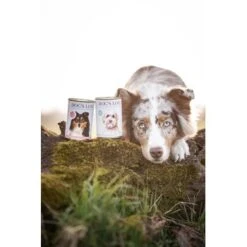 DOG'S LOVE Adult Hypoallergen 6x400g 9 DOG'S LOVE Adult Hypoallergen 6x400g -Ruffwear Verkäufe 8e9dbde41a1a7703f7e724e8cfbb5769f1859ef8 1274558 2