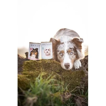 DOG'S LOVE Adult Hypoallergen 6x400g 5 DOG'S LOVE Adult Hypoallergen 6x400g – Bild 5