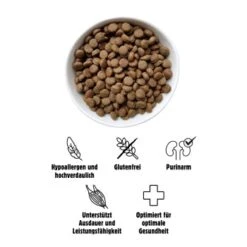 Eat Small EatSmall 2x10kg Active Trockenfutter 10 Eat Small EatSmall 2x10kg Active Trockenfutter -Ruffwear Verkäufe 8eb87ed00fa368d8fa9581d309958c1852cc797b 1472610 de DE 3afc6319dab2229d23c78f66619a85133d5150ff96lIxh