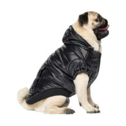 Canada Pooch Glänzende Pufferweste XXS -Ruffwear Verkäufe 8ec11177ec9f86d200ff22bc3e0c234ecff91e7e dfb5b396c833a1ace7625fc5796632bee13eda68