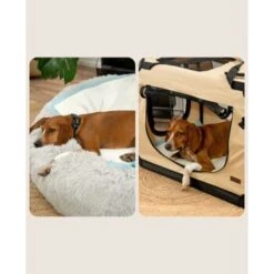 Lionto Welpenunterlage 6-lagig L -Ruffwear Verkäufe 8f14592f6d058f0fb4fc5be2eb6798f229ed3383 1665927 de DE d5d55018ac189c4f0ee0cfe3cc801e9b0b08c612l1cJJF