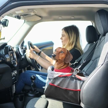 KONG Autositz Booster 6 KONG Autositz Booster – Bild 6