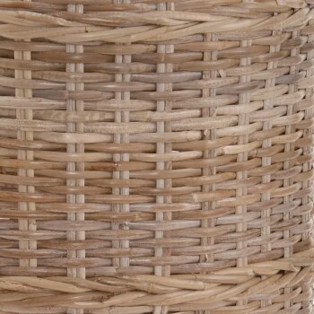 Rohrschneider Katzenturm Ricki 2 Rohrschneider Katzenturm Ricki – Bild 2