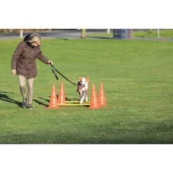 Trixie Dog Activity Hindernisse Ø30x50cm -Ruffwear Verkäufe 91cbc45b90b8a0cfe868659f3dcf31f8aff28e6a 1287033 de DE Trixie Hindernisse wb 2