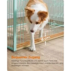 FEANDREA Welpenauslauf 4-teilig Schwarz Mintgrün -Ruffwear Verkäufe 9309392d7cb4389d83a39fc6dbb20378aeb31adf 1500915 de DE d17e1153ac97c90e9e57d018e3e78bdade2a7f61y3I5DK