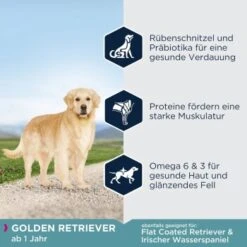 EUKANUBA Breed Specific Golden Retriever 12 Kg -Ruffwear Verkäufe 93835751c2540e664fdb559735421479521b3a8c 4a6f1ea9cd1f2216ab5b192d19420793b787e2e0