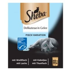 Sheba Delikatesse In Gelee 60x85g 5 Sheba Delikatesse In Gelee 60x85g -Ruffwear Verkäufe 93890757777d5de401544484eacc17bb6f2d684a dcc11d1531a82c8bd2bb3c0262ea3fc504426e44