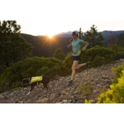 Ruffwear Trail Runner™ Laufgurt Limonen Gelb L-XL -Ruffwear Verkäufe 93a58c4fc27710218901d94aece28188b07bd319 1651444 de DE 8247d7fe22d77de2e7ea731c778011a0fe985828KUUc7c