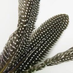 Schlitzohr Katzenangel Federanhänger 5x -Ruffwear Verkäufe 93b8e0c984d323f24d455bf8e74e2dbacef5703e 1484675 de DE 7b80f213f44ebcad765dbdebc25bf2d2f0177dbd64kHU2