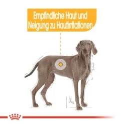 ROYAL CANIN Dermacomfort Maxi 12 Kg -Ruffwear Verkäufe 978db22590ba776f59a9c9320bcbe8c33f40379a 1376168 de DE aosa 5