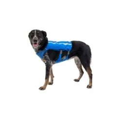 Ruffwear Trail Runner™ Weste Blau XS 17 Ruffwear Trail Runner™ Weste Blau XS -Ruffwear Verkäufe 98442c3f4ada02dc38bbe918031392b2ba7e1943 1639640 de DE 57b978069b1aa95a705eb1af32811decb2e9cfecAOoih7