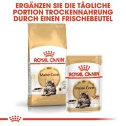 ROYAL CANIN Maine Coon 12x85g -Ruffwear Verkäufe 98a6b1fde98d85d644b159a3ec5257e7ab116b9d 1229815 de DE rc 4